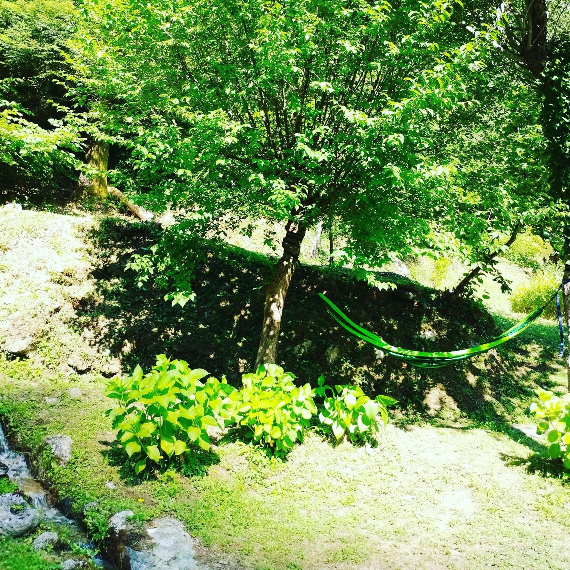 Casa Vacanze Il Boscaccio "Casa Massimo" Fornovolasco Exterior foto